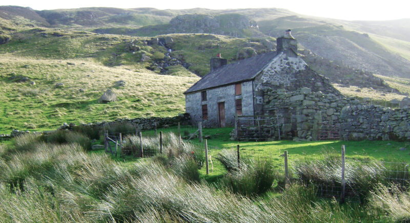 Traditional Hill Farming Methods with Sheep